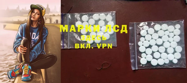 гашик Алексин