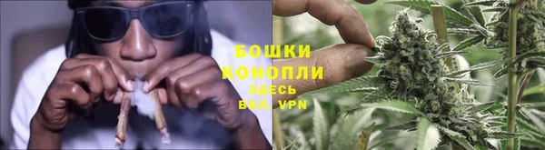 дурь Алзамай