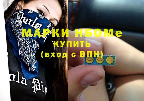 гашик Алексин