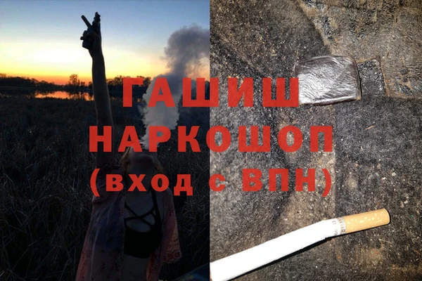 гашик Алексин