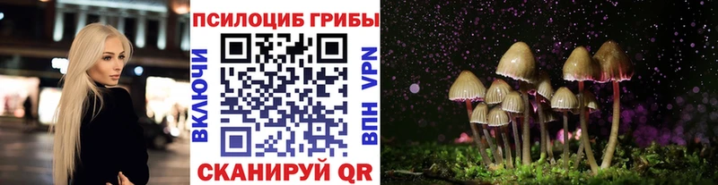 Галлюциногенные грибы прущие грибы  omg зеркало  Староминская 